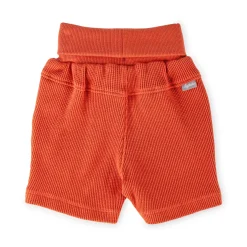 Sigikid Kollektion Wild Adventure|Baby Waffelpique Bermuda, Orangerot
