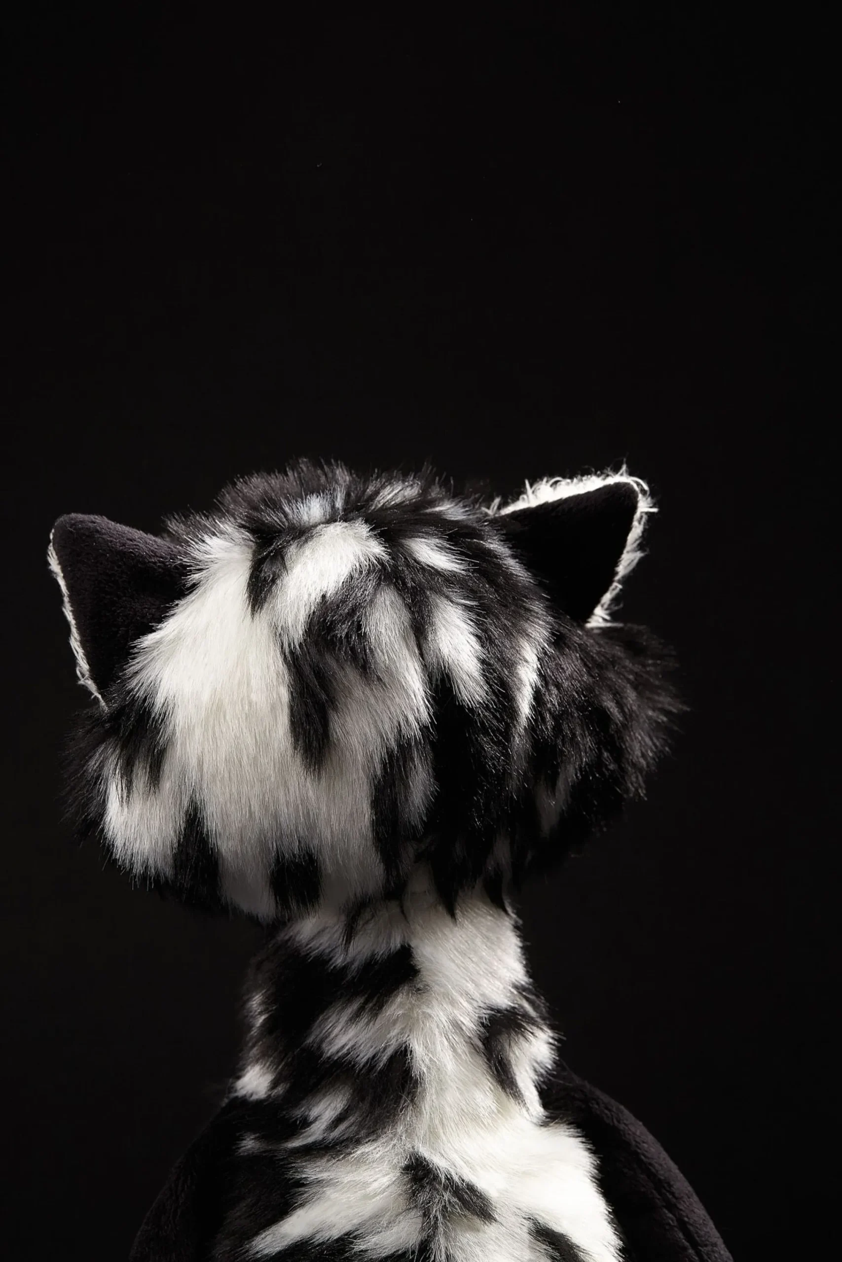 Sigikid Finde Dein Beast|Katze Cat Macchiato Beaststown